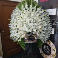 تحویل سر ساعت درب مسجد|گل و گیاه طبیعی|تهران, نازیآباد|دیوار