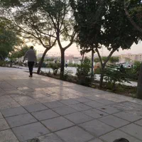 خری د ار پیک نیک