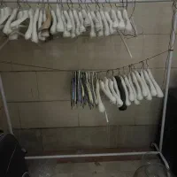 رگال فلزی بلند