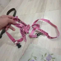 قلاده کتفی سگ|لوازم جانبی حیوانات|اندیشه, اندیشه فاز ۳|دیوار