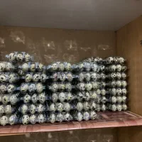 تخم بلدرچین|خوردنی و آشامیدنی|بردسیر, |دیوار