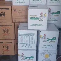 تخم مرغ
