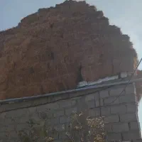 جانبی گوسفند|لوازم جانبی حیوانات|مشگین شهر, |دیوار