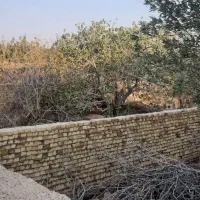 فروش زمین ۱۹۸ متری در منطقه خوش آب هوا بلوار غدیر|فروش زمین و ملک کلنگی|اردکان, |دیوار
