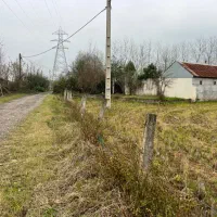 زمین تجاری مسکونی فروشی ۱۵۰۰مترمنطقه ازاد انزلی