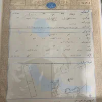 کارگاهی وباغی|فروش زمین و ملک کلنگی|دوگنبدان, |دیوار