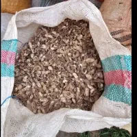 پوست بادام زمینی|عمده‌فروشی|آستانه اشرفیه, |دیوار