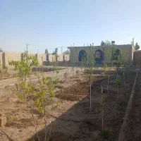 باغ-فروشی