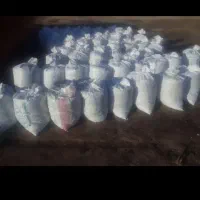 پخش کود چوب بری سم پاشی هرس کاری|خدمات باغبانی و درختکاری|تنکمان, |دیوار