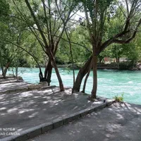 اجاره سوییت و ویلا