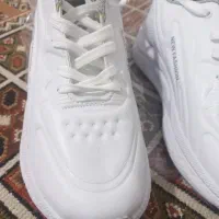 کفش نو سایز ۴۰