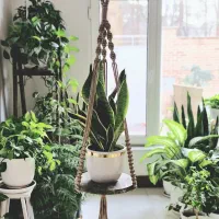 آویز مکرومه|صنایع دستی و سایر لوازم تزئینی|ورامین, ورامین|دیوار