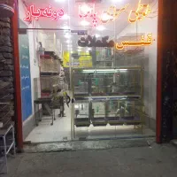 واگذاری مغازه طوطیسانان