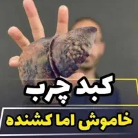 درمان کبد چرب با اصلاح مزاج
