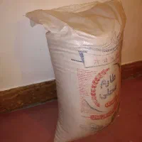 طارم محلی|خوردنی و آشامیدنی|یزدان شهر, |دیوار