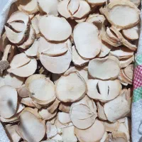 موسیر پلاک درجه یک بار امسال