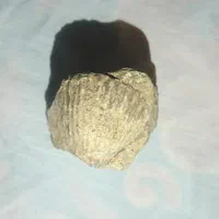 سنگ و مدال های یشم کهنه و مهره های دیگه/فسیل/تسبیح|جواهرات|تهران, بهارستان|دیوار