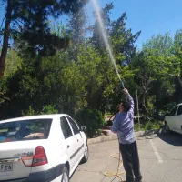 سم پاشی علف زنی کاشت گل و گیاه شمشادزنی