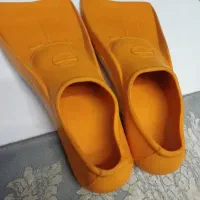 فین شنا