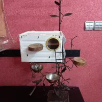 لانه و محل زندگی پرنده