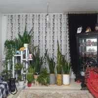 پرده 3 متری. به علت نبودن سایز