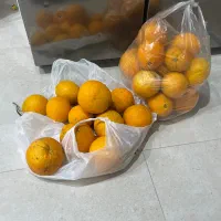 پرتقال فروخته میشود