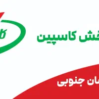 استخدام بازاریاب در پخش سراسری کاسپین