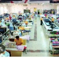 دوزنده خانم