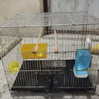 قفس پرنده