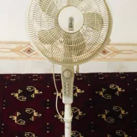 پنکه زمینی|پنکه و تصفیه‌کنندهٔ هوا|آق قلا, |دیوار