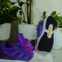 کتونی های زد ایکس|کیف، کفش، کمربند|کرج, نوروزآباد|دیوار