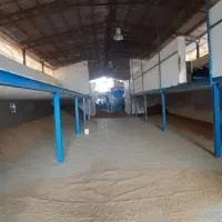 استخدام نیروی کار