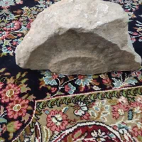 فسیل یا مجسمه سنگی|کلکسیون اشیاء عتیقه|تهران, کوثر|دیوار