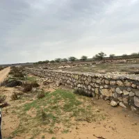 زمین باغی گورک|فروش دفتر صنعتی، کشاورزی، تجاری|دلوار, |دیوار