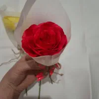 گل کاغذی خاص|گل مصنوعی|اسلامشهر, شهرک احمدیه|دیوار