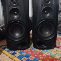 یک جفت رنگ مشکی خیلی تمیز و زیبا