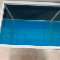 اکواریوم|ماهی|تهران, خزانه|دیوار