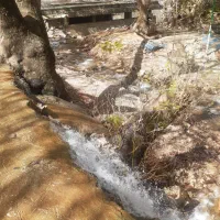 حرکت از نورآباد به آبادان