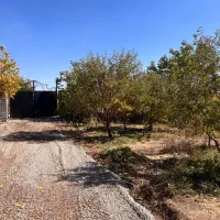 باغچه ۵۰۰ متری دماوند جابان سند تک برگ آب برق گاز|فروش زمین و ملک کلنگی|دماوند, دماوند|دیوار