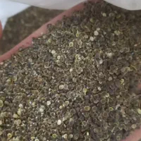فروش عمده|خوردنی و آشامیدنی|بندر ترکمن, |دیوار