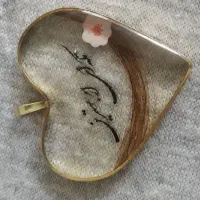 اویز رزینی پلاک موتور وماشین