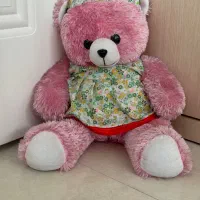 خرس ولنتاین