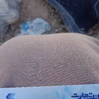 بز یا گیسک نر بزغاله