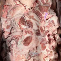 فروش ویژه انواع محصولات پروتئینی