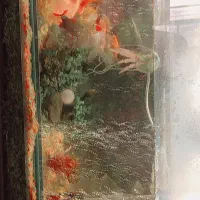 آکواریوم 80/30 بدون لب پریدگی