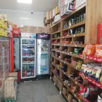 نیروی خانم تریا دانشگاه