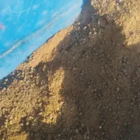 فروش کود گوسفندی حمل با تک کمپرسی