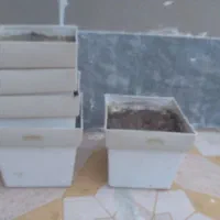 تعدادی گلدان پلاستیکی کار کرده