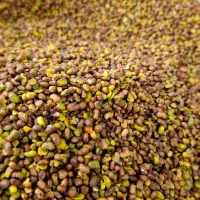 پودر پسته کوهی و بادام اعلا