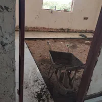 سنگ کاری سرامیک کاری کاشی کار و بنا کاری|خدمات پیشه و مهارت|تاکستان, |دیوار